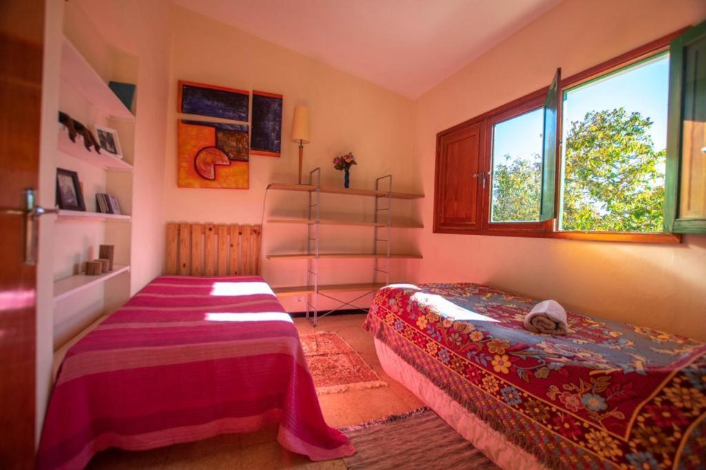 Finca Pajaritos Lodger